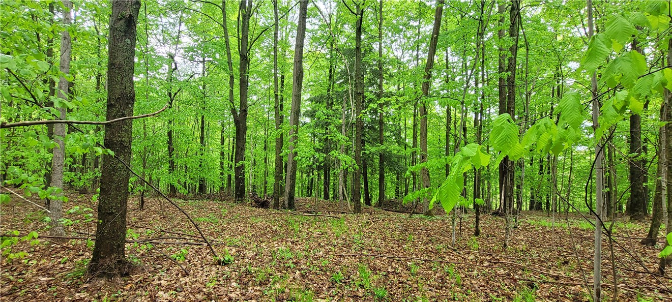 0 Thayer Road Erin, NY 14838 - Photo 21 of 26