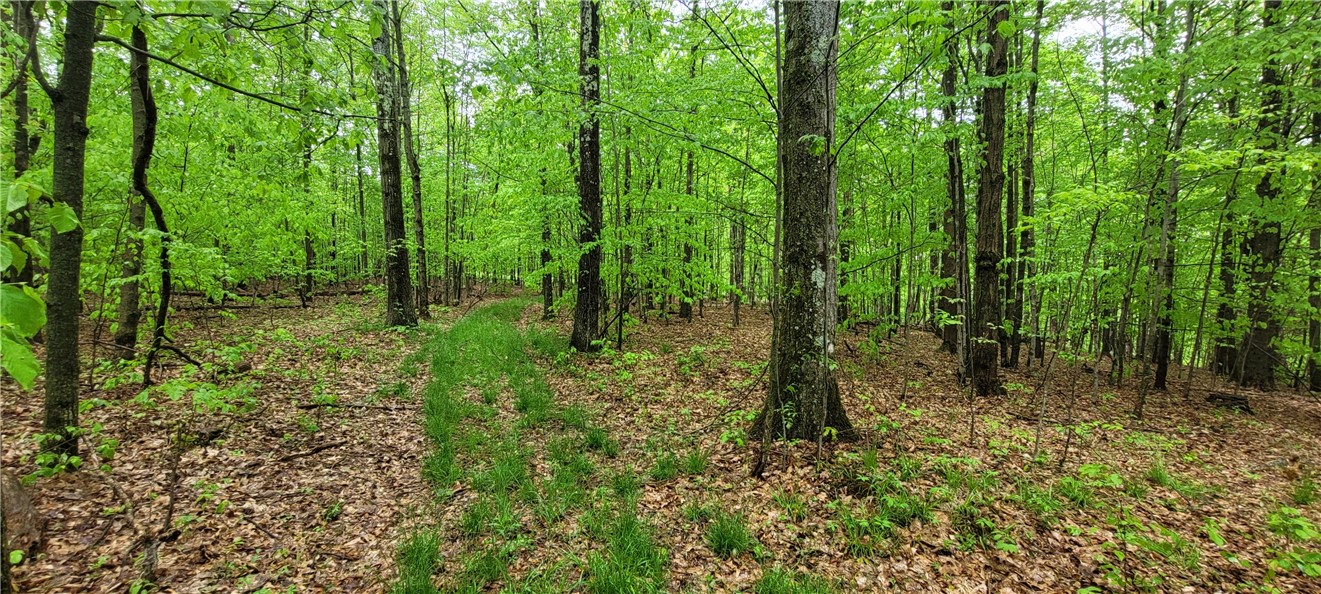 0 Thayer Road Erin, NY 14838 - Photo 22 of 26