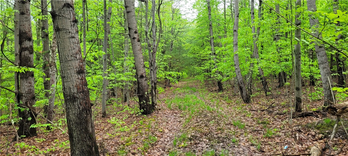 0 Thayer Road Erin, NY 14838 - Photo 23 of 26