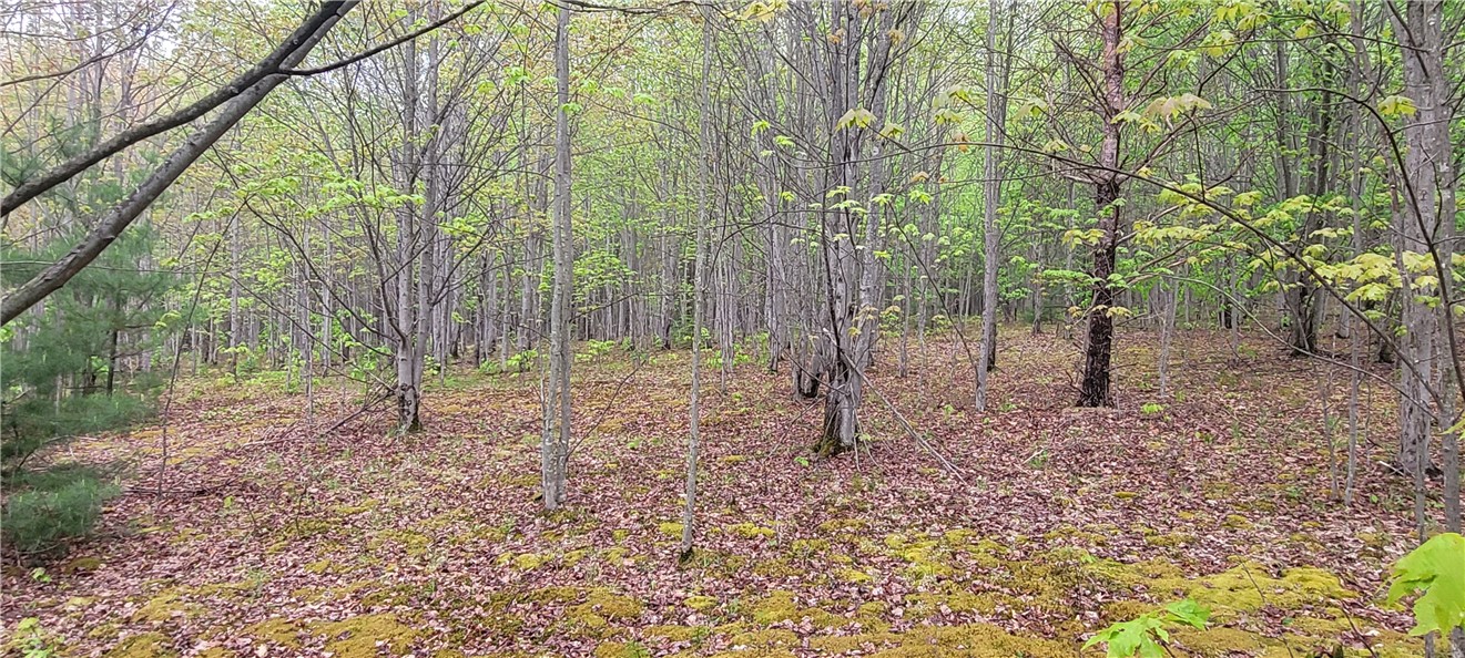 0 Thayer Road Erin, NY 14838 - Photo 24 of 26