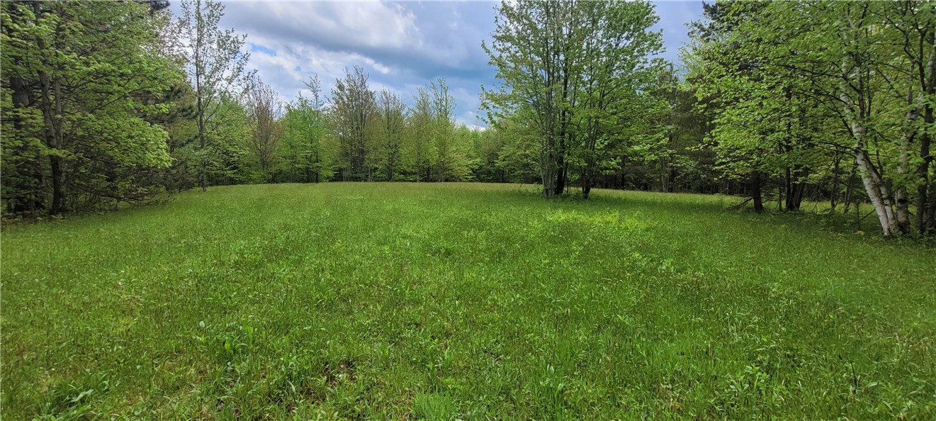 0 Thayer Road Erin, NY 14838 - Photo 3 of 26