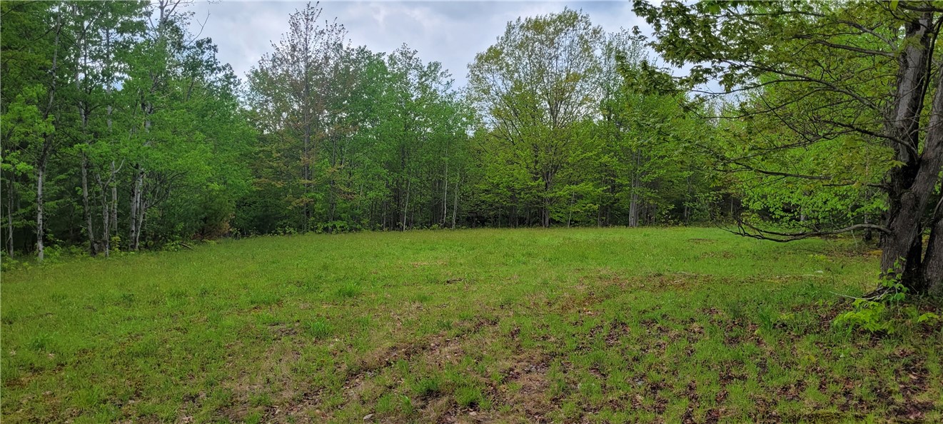 0 Thayer Road Erin, NY 14838 - Photo 4 of 26