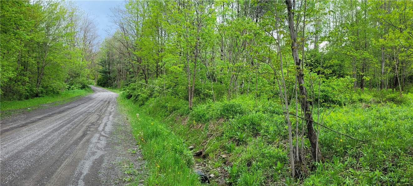 0 Thayer Road Erin, NY 14838 - Photo 7 of 26