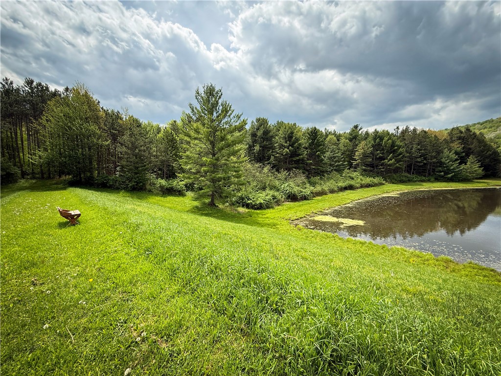450 Dean Creek Road Spencer, NY 14883 - Photo 22 of 50