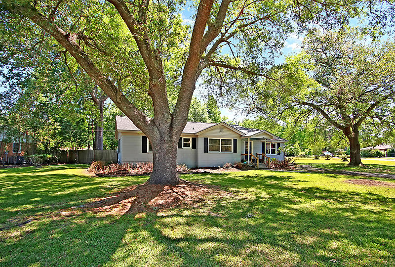713 Catawba Road Charleston, SC 29414 - Photo 4 of 36 IMG_8362-copy
