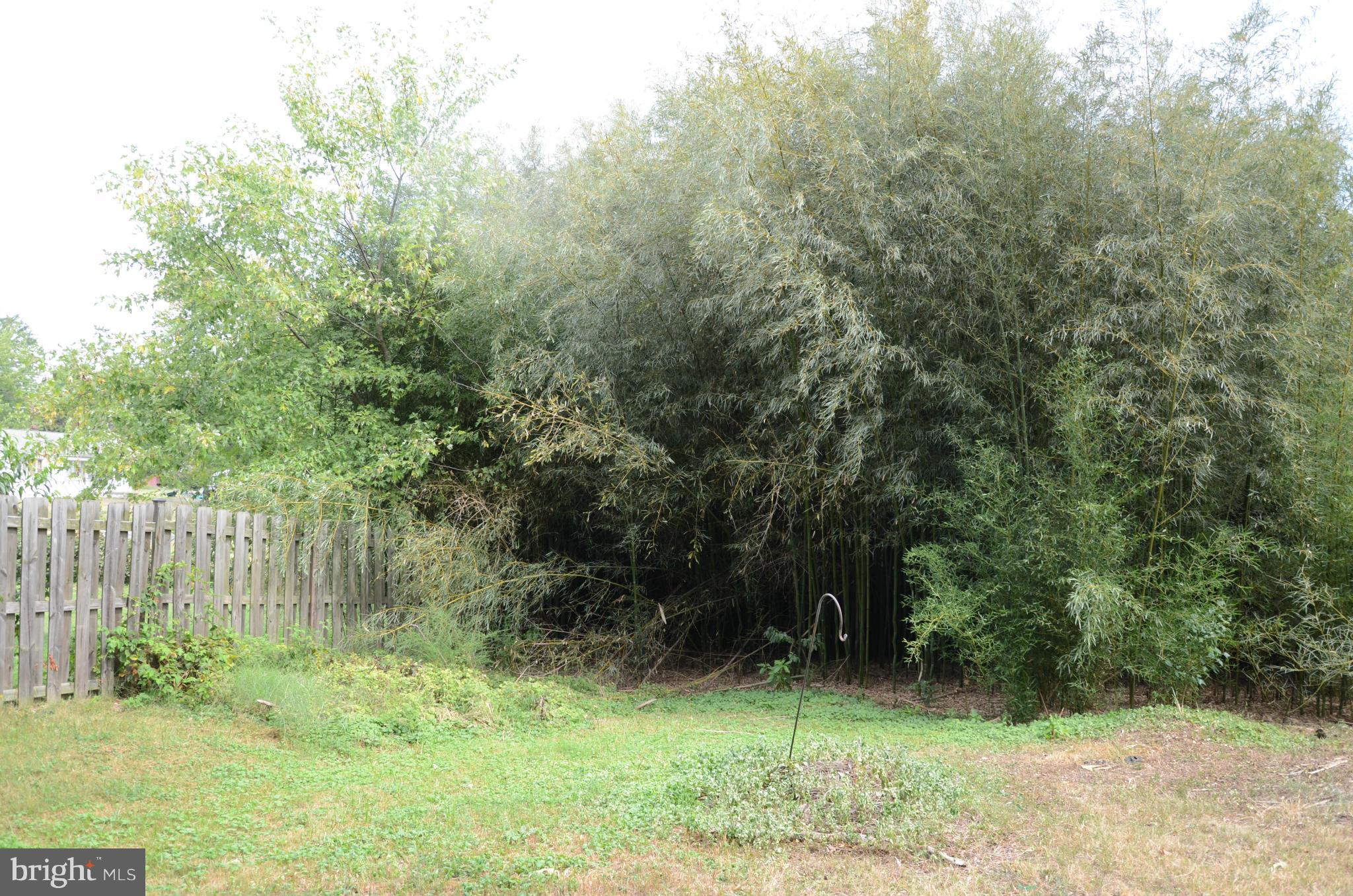 3206 Dalewood Road Fort Washington, MD 20744 - Photo 17 of 18 a view of a backyard