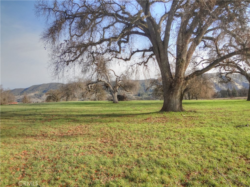 a view of field with tree in the background