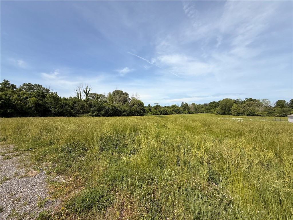 Lot #4 Purdy Road Canandaigua, NY 14424 - Photo 2 of 4