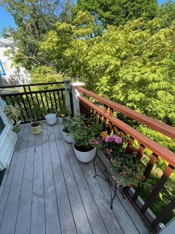 15 Myrtle Street, Unit 2 Boston, MA 02130 - Photo 14 of 15 Gallery Image 14