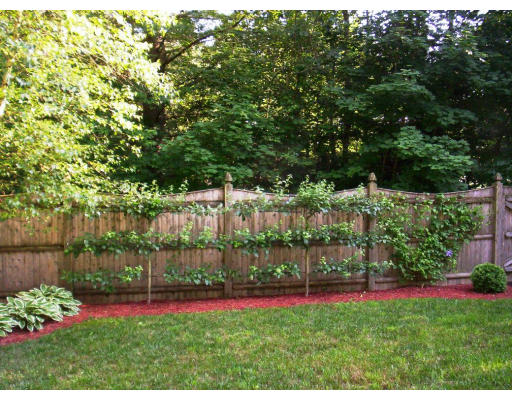 9 Potter Road Douglas, MA 01516 - Photo 23 of 26