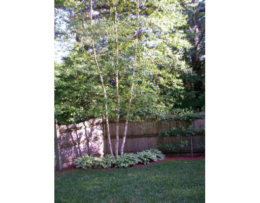9 Potter Road Douglas, MA 01516 - Photo 26 of 26 a view of a backyard with potted plants and large tree