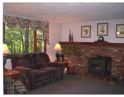 9 Potter Road Douglas, MA 01516 - Photo 5 of 26 a living room with furniture a window and a fireplace