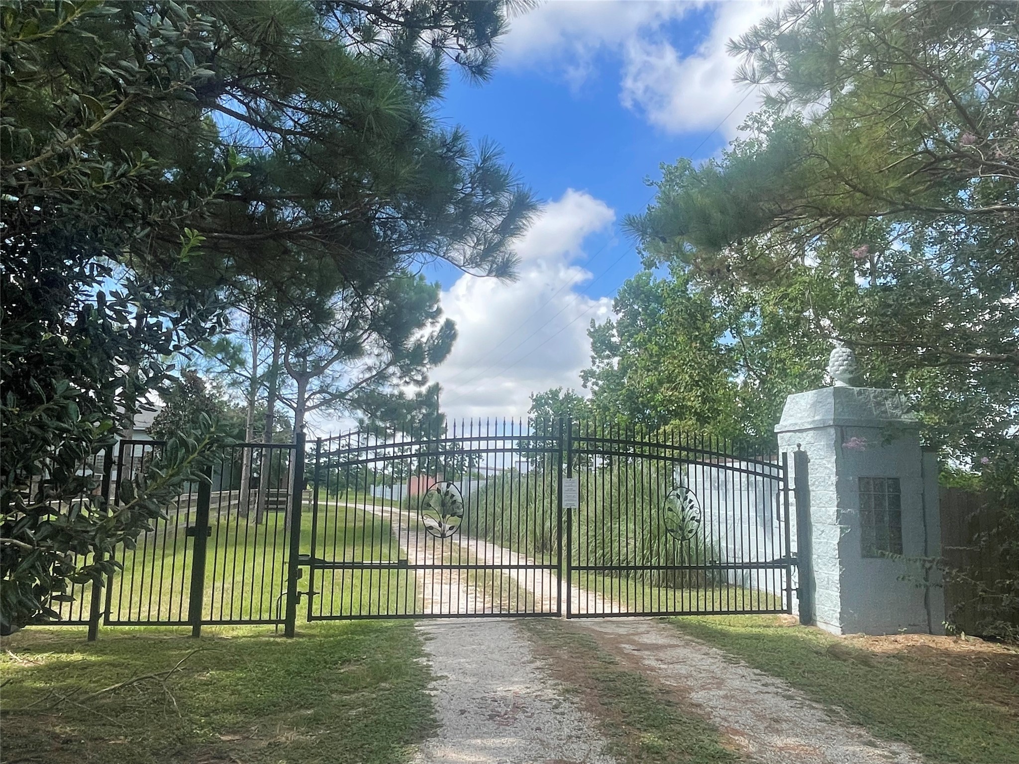 29315 Stockdick Road Katy, TX 77493 - Photo 2 of 50 a view of a park with a large tree