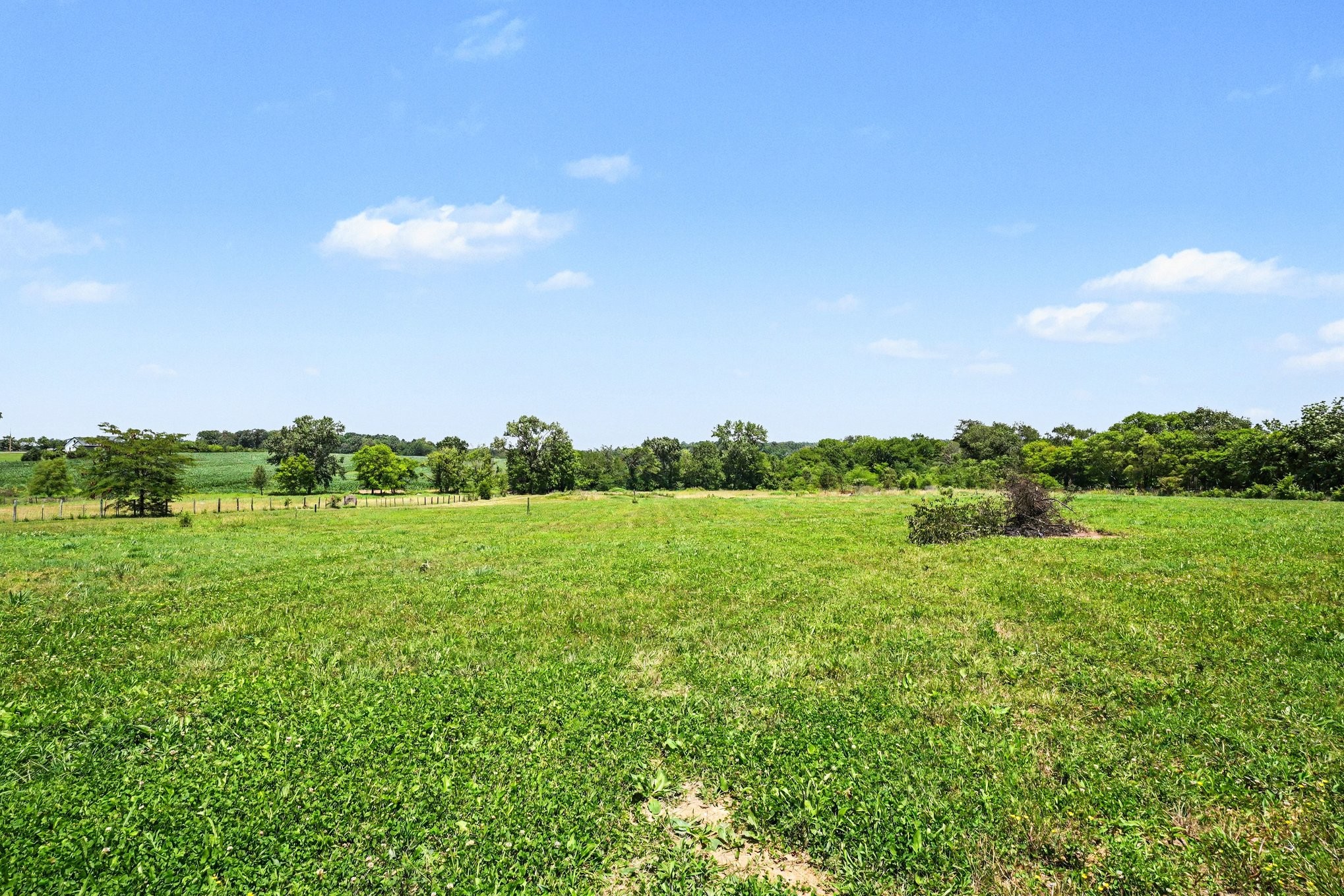 4436 Barren Plains Road Springfield, TN 37172 - Photo 32 of 53