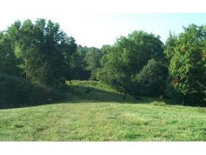 1952 White Road Spencer, IN 47460 - Photo 13 of 15