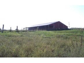 1952 White Road Spencer, IN 47460 - Photo 4 of 15