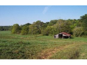 1952 White Road Spencer, IN 47460 - Photo 10 of 15