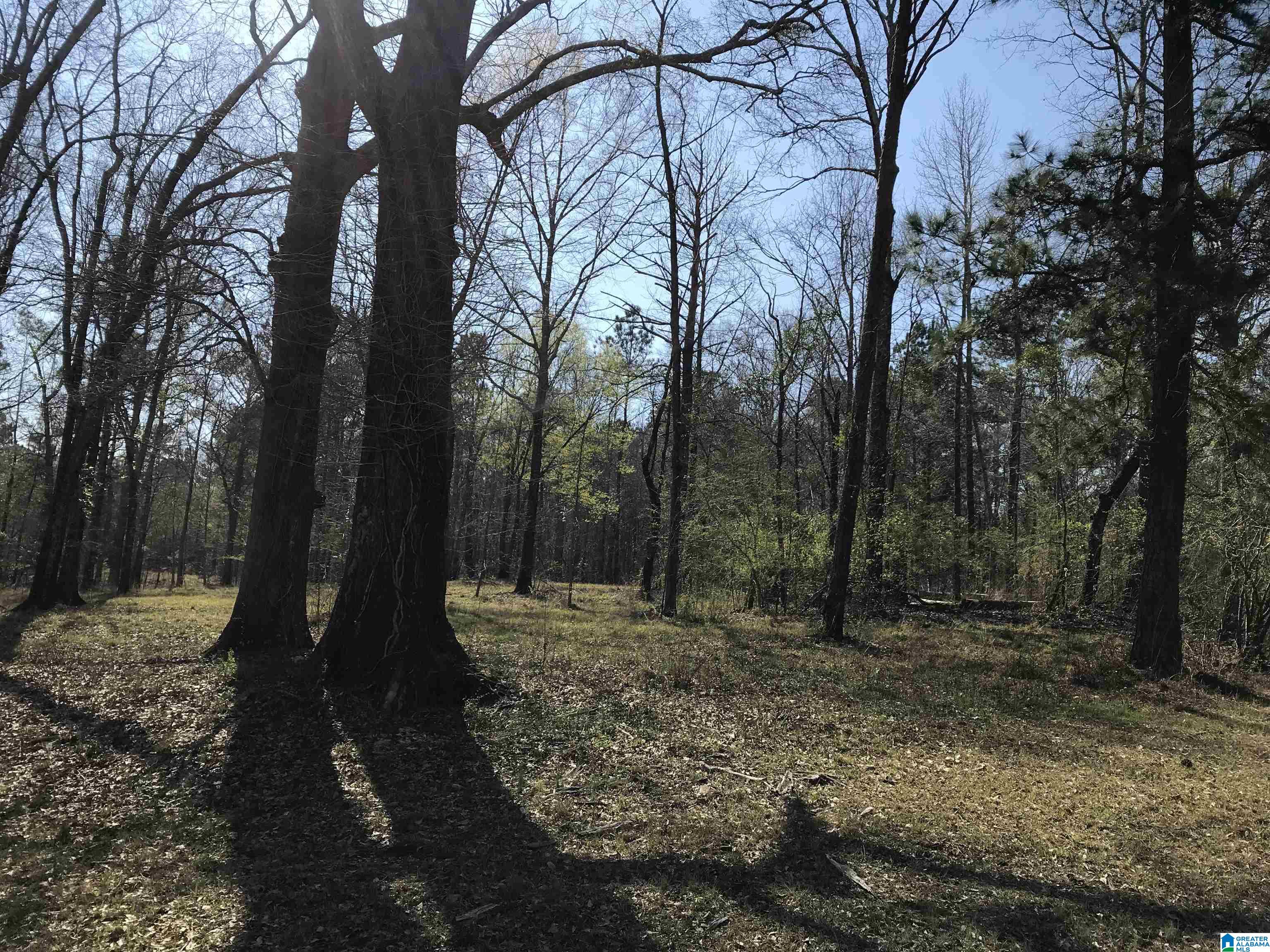 3 Chancellors Ferry Road, Unit 1 Harpersville, AL 35078 - Photo 10 of 14