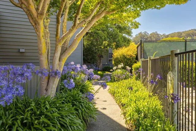 a view of a garden with plants and trees