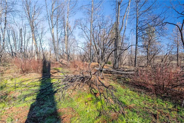 $125,000 | 8974 Cohasset Road, Chico, CA 95973