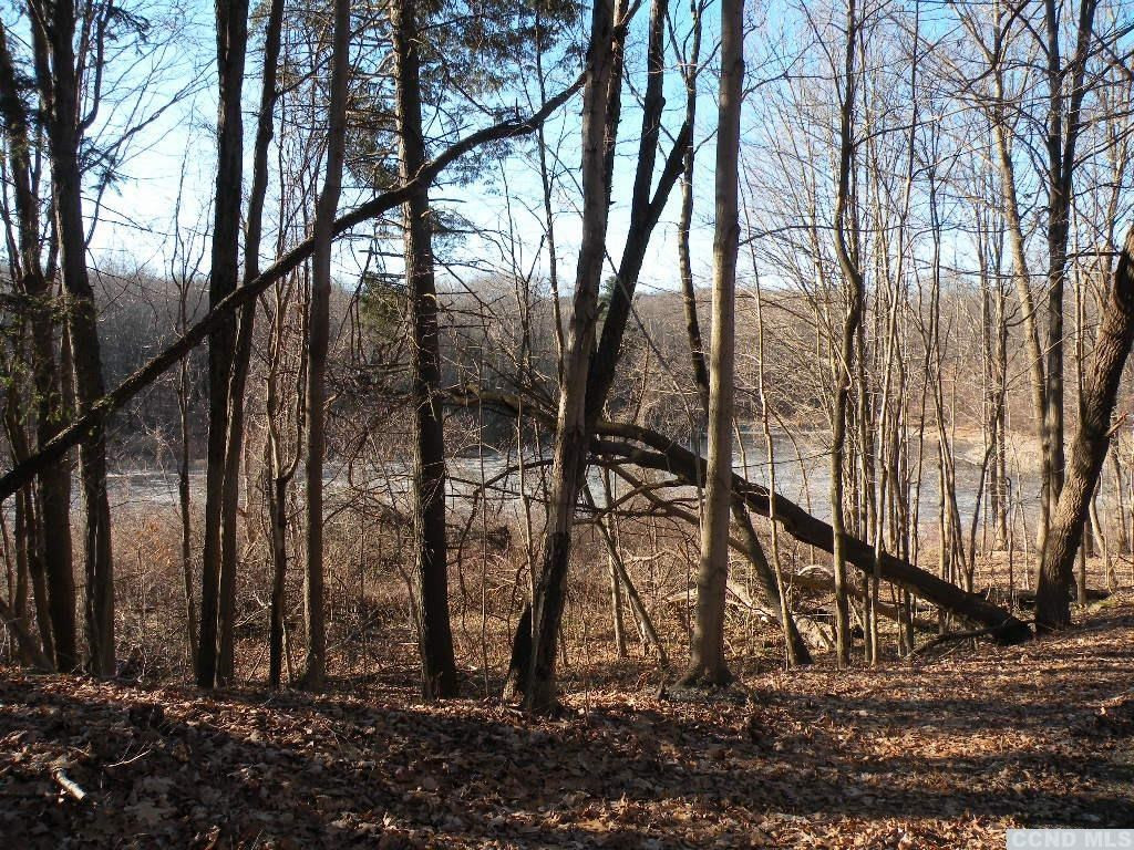0 Cold Spring Road Clinton Corners, NY 12514 - Photo 11 of 11 Photo 11