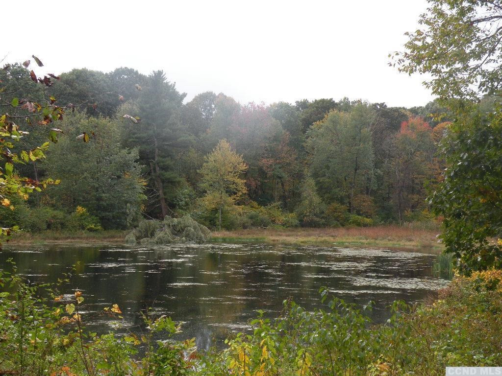 0 Cold Spring Road Clinton Corners, NY 12514 - Photo 2 of 11 Photo 2