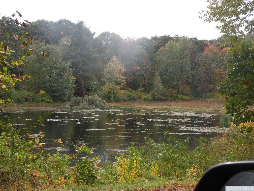 0 Cold Spring Road Clinton Corners, NY 12514 - Photo 3 of 11 Photo 3