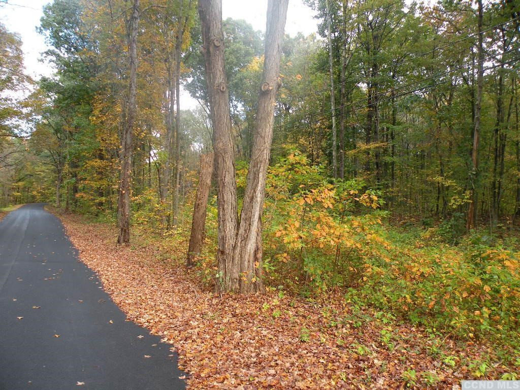 0 Cold Spring Road Clinton Corners, NY 12514 - Photo 4 of 11 Photo 4