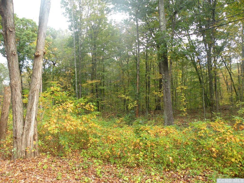 0 Cold Spring Road Clinton Corners, NY 12514 - Photo 5 of 11 Photo 5