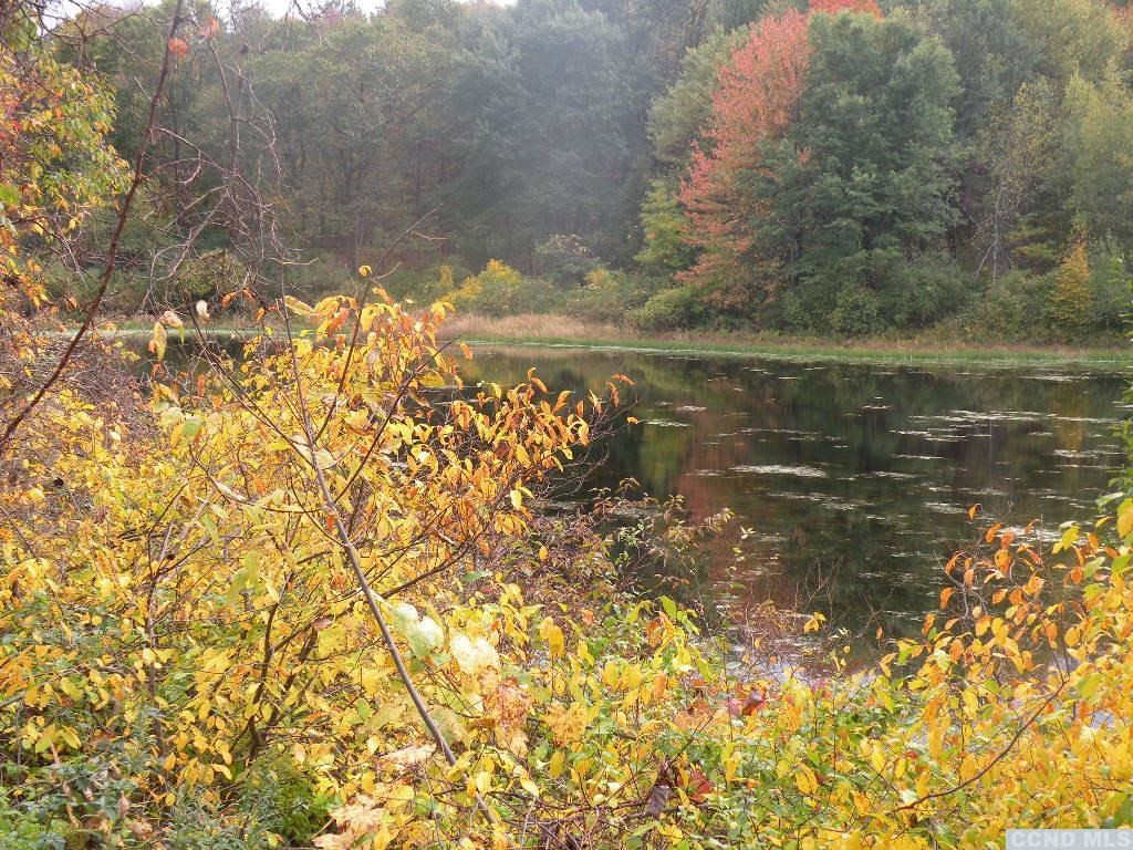 0 Cold Spring Road Clinton Corners, NY 12514 - Photo 7 of 11 Photo 7