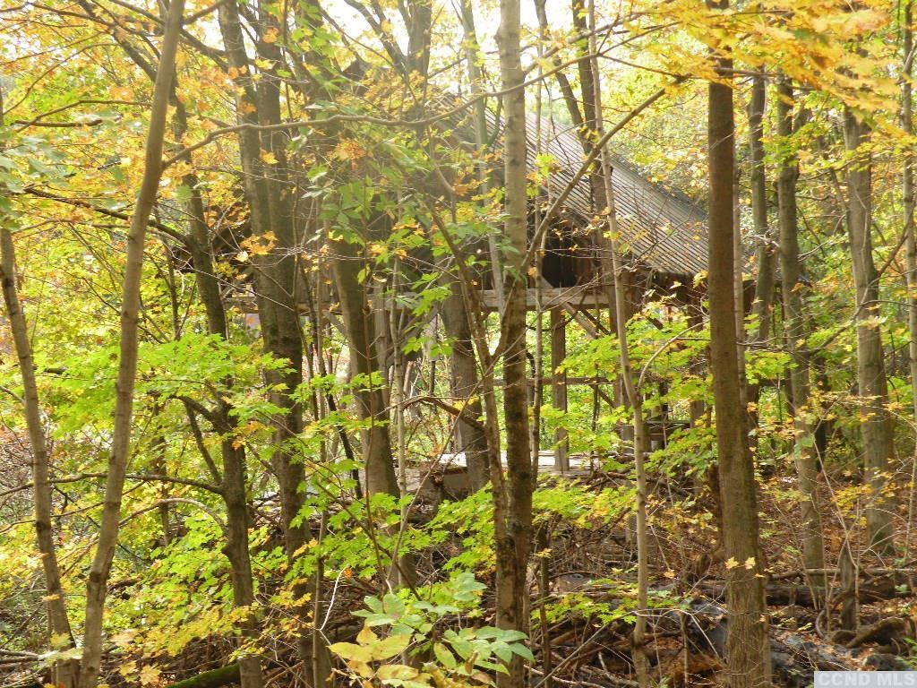 0 Cold Spring Road Clinton Corners, NY 12514 - Photo 8 of 11 Photo 8