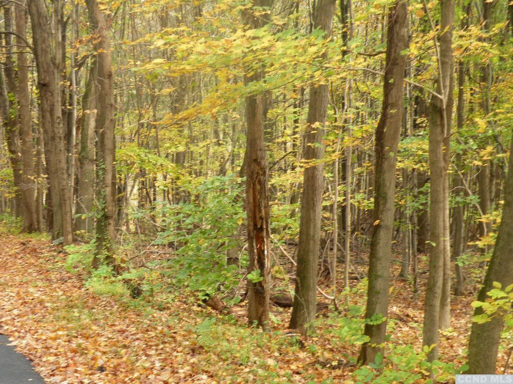 0 Cold Spring Road Clinton Corners, NY 12514 - Photo 9 of 11 Photo 9