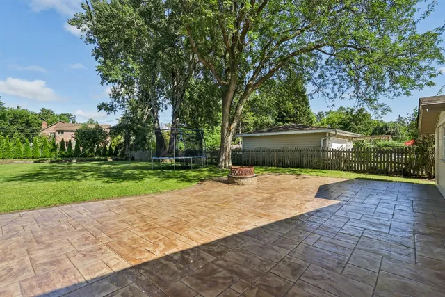 a view of a yard with plants and trees
