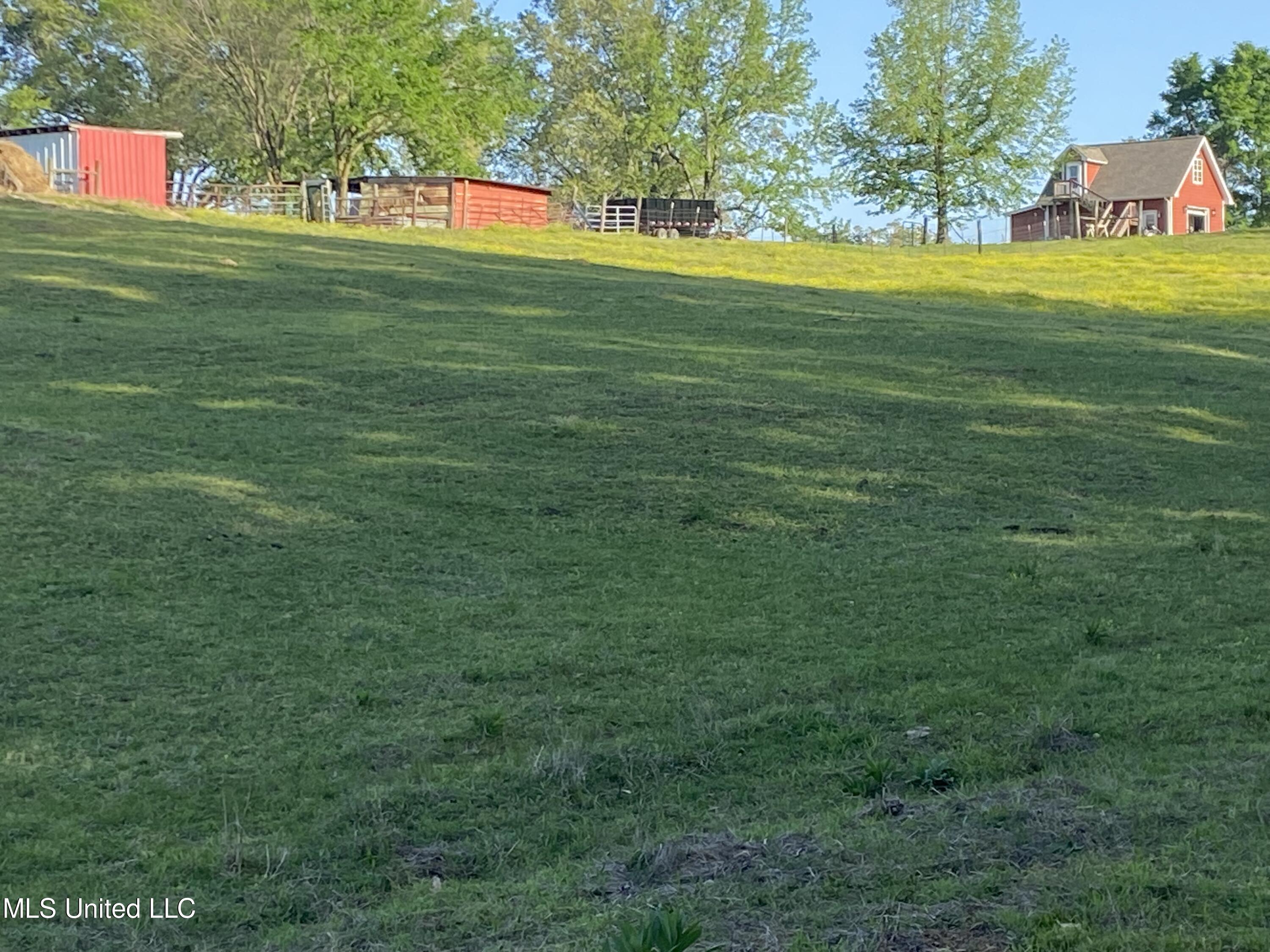 604 Prichard Road Coldwater, MS 38618 - Photo 44 of 48 2023-04-18 17.51.19