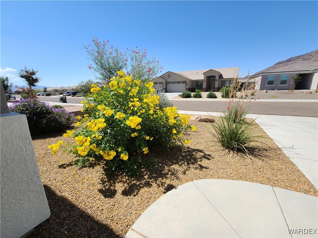 5398 Eagle View Road Kingman, AZ 86409 - Photo 25 of 60 Yard