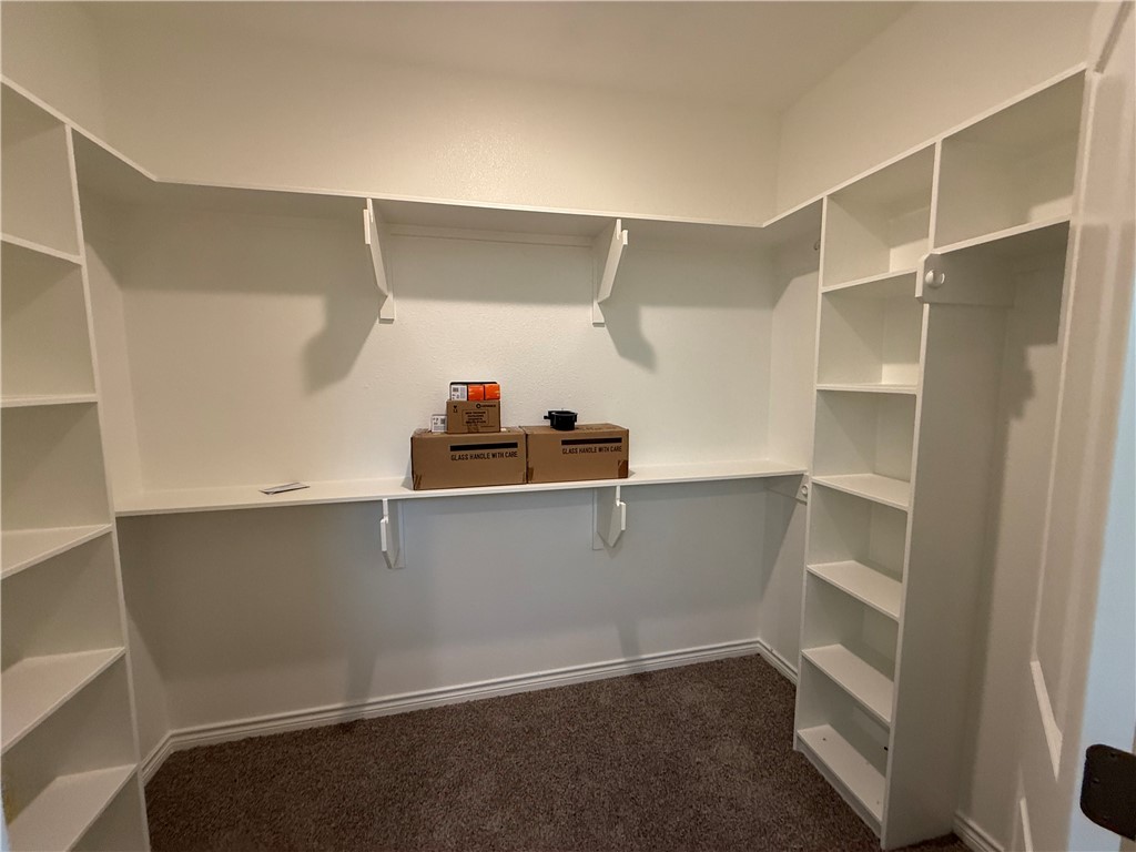 3502 Dill Court Bryan, TX 77803 - Photo 7 of 11 Primary closet