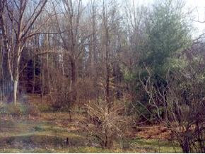 Lot 1 Cedar Point Road Johnson City, TN 37601 - Photo 1 of 2 Photo 1