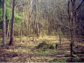 Lot 1 Cedar Point Road Johnson City, TN 37601 - Photo 2 of 2 Photo 2
