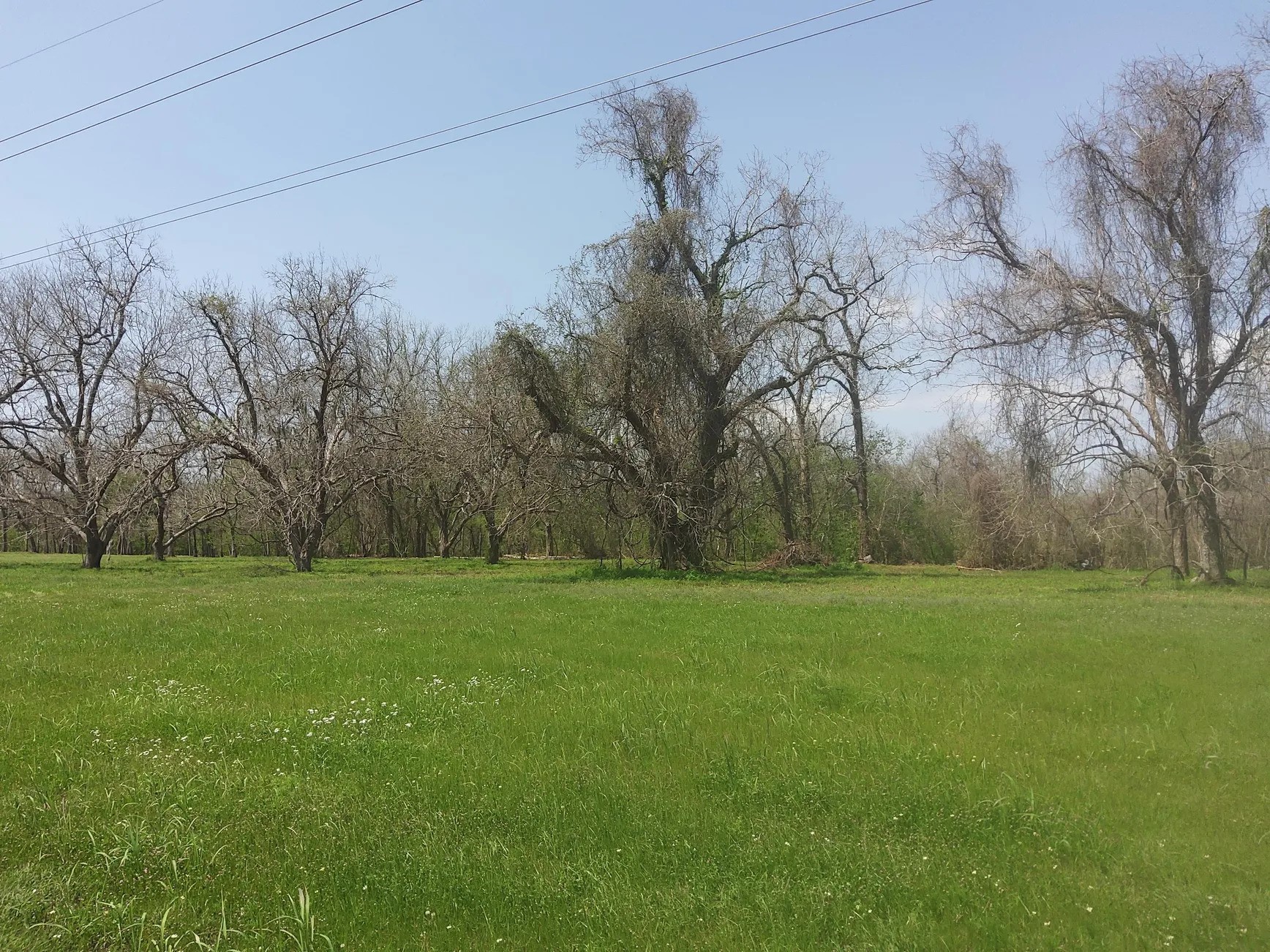 Lot 1 FM 521 Road Angleton, TX 77515 - Photo 29 of 34