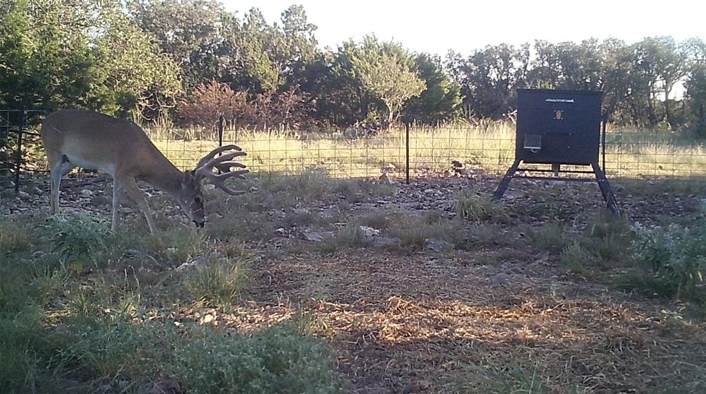 919 Sd, Unit 16010 Rocksprings, TX 78880 - Photo 11 of 40