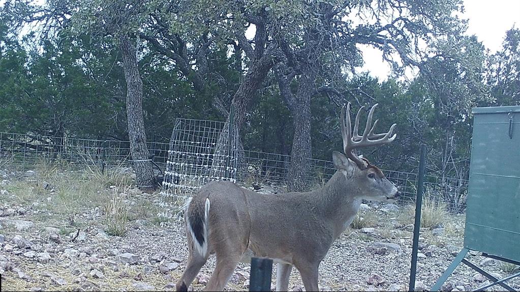 919 Sd, Unit 16010 Rocksprings, TX 78880 - Photo 13 of 40