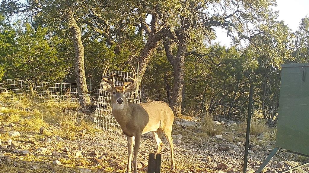 919 Sd, Unit 16010 Rocksprings, TX 78880 - Photo 14 of 40