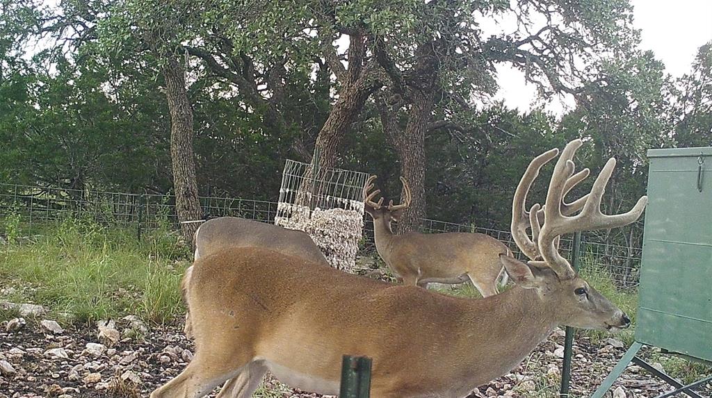 919 Sd, Unit 16010 Rocksprings, TX 78880 - Photo 16 of 40