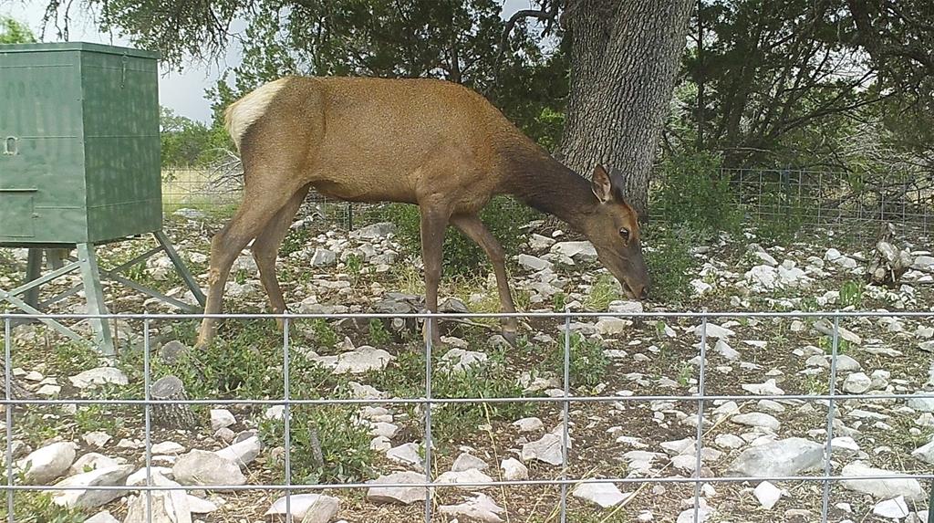 919 Sd, Unit 16010 Rocksprings, TX 78880 - Photo 18 of 40