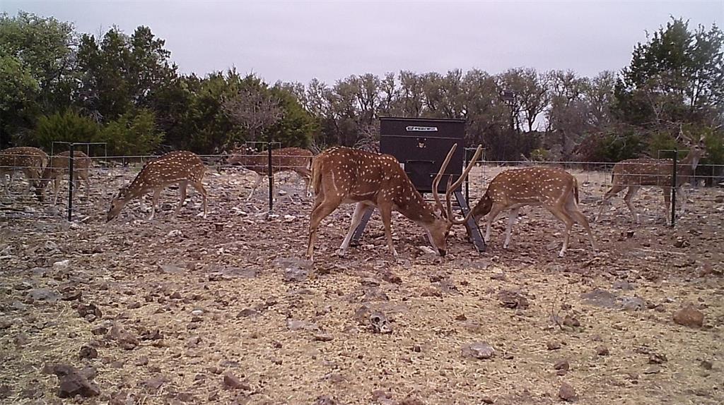 919 Sd, Unit 16010 Rocksprings, TX 78880 - Photo 19 of 40