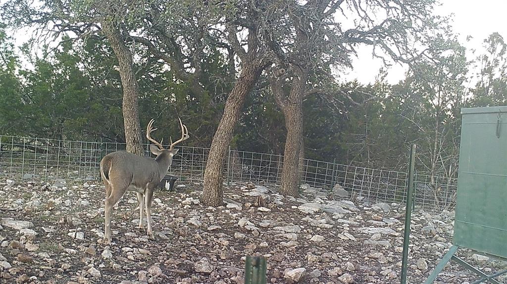 919 Sd, Unit 16010 Rocksprings, TX 78880 - Photo 20 of 40