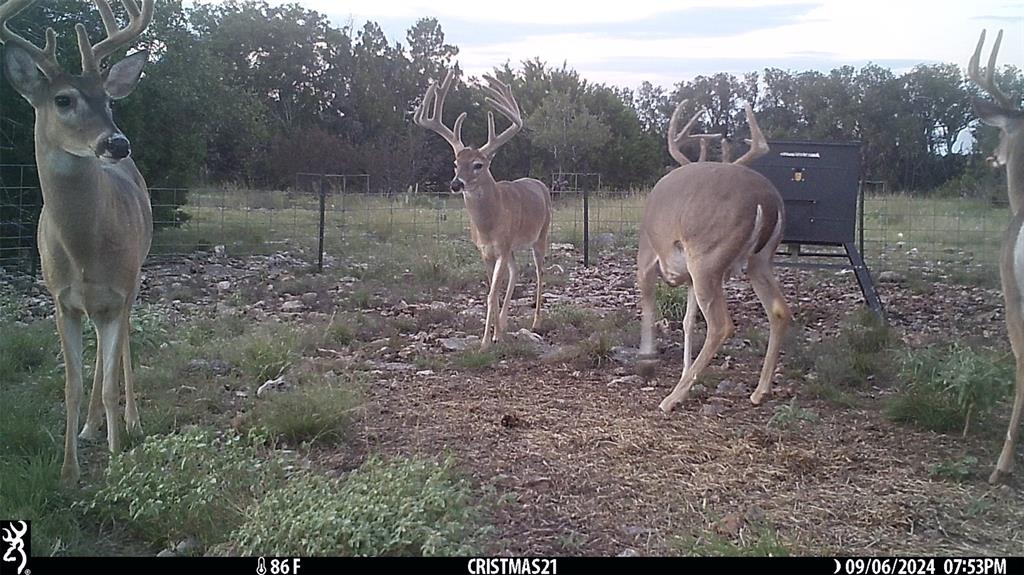 919 Sd, Unit 16010 Rocksprings, TX 78880 - Photo 2 of 40