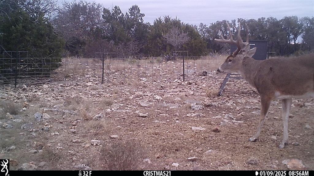 919 Sd, Unit 16010 Rocksprings, TX 78880 - Photo 3 of 40