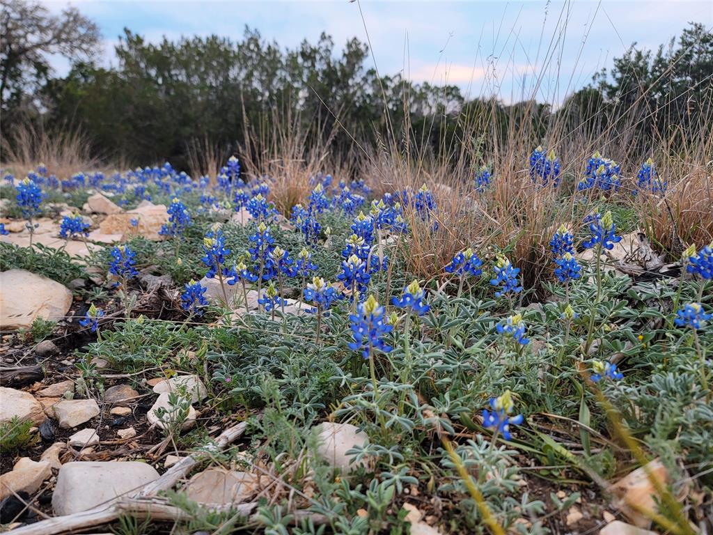 919 Sd, Unit 16010 Rocksprings, TX 78880 - Photo 36 of 40