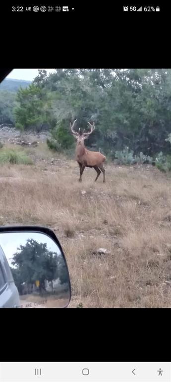 919 Sd, Unit 16010 Rocksprings, TX 78880 - Photo 4 of 40